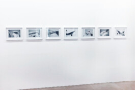 Michael-Ullrich-The-Dolphins-Ausstellung-Kuunstpalais-Erlangen 