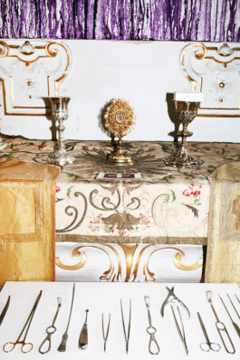 Herrmann Nitsch fotografiert von Michael Ullrich für das SZ Magazin 