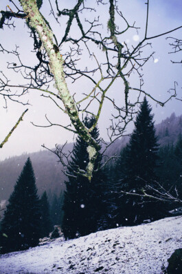 Michael Ullrich und Achtung Mode fotografieren ein Mode Editorial im Schwarzwald 