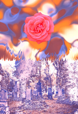 Michael Ullrich Paintings art Series 