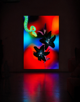 Michael_Ullrich_22Slowdive22_Ansicht